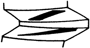 FX݆͜pX݆g(sh)Zӹ݆X|zԇ