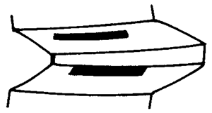 FX݆͜pX݆g(sh)Zӹ݆X|zԇ