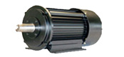 KCTϵ_P(gun){(dio)늄әC(H132250mm)