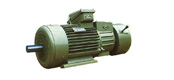 YEZϵFD(zhun)ஐ늄әC(112180mm)