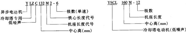 YSCLYLZCϵsõஐ늄әC(j)Y(ji)(gu)鼰c